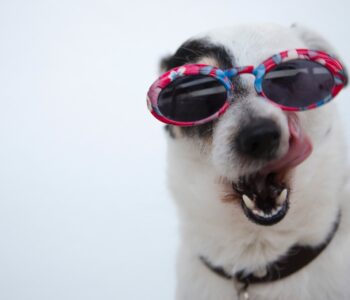 Funny idioms: Add some fun and laughter to your English