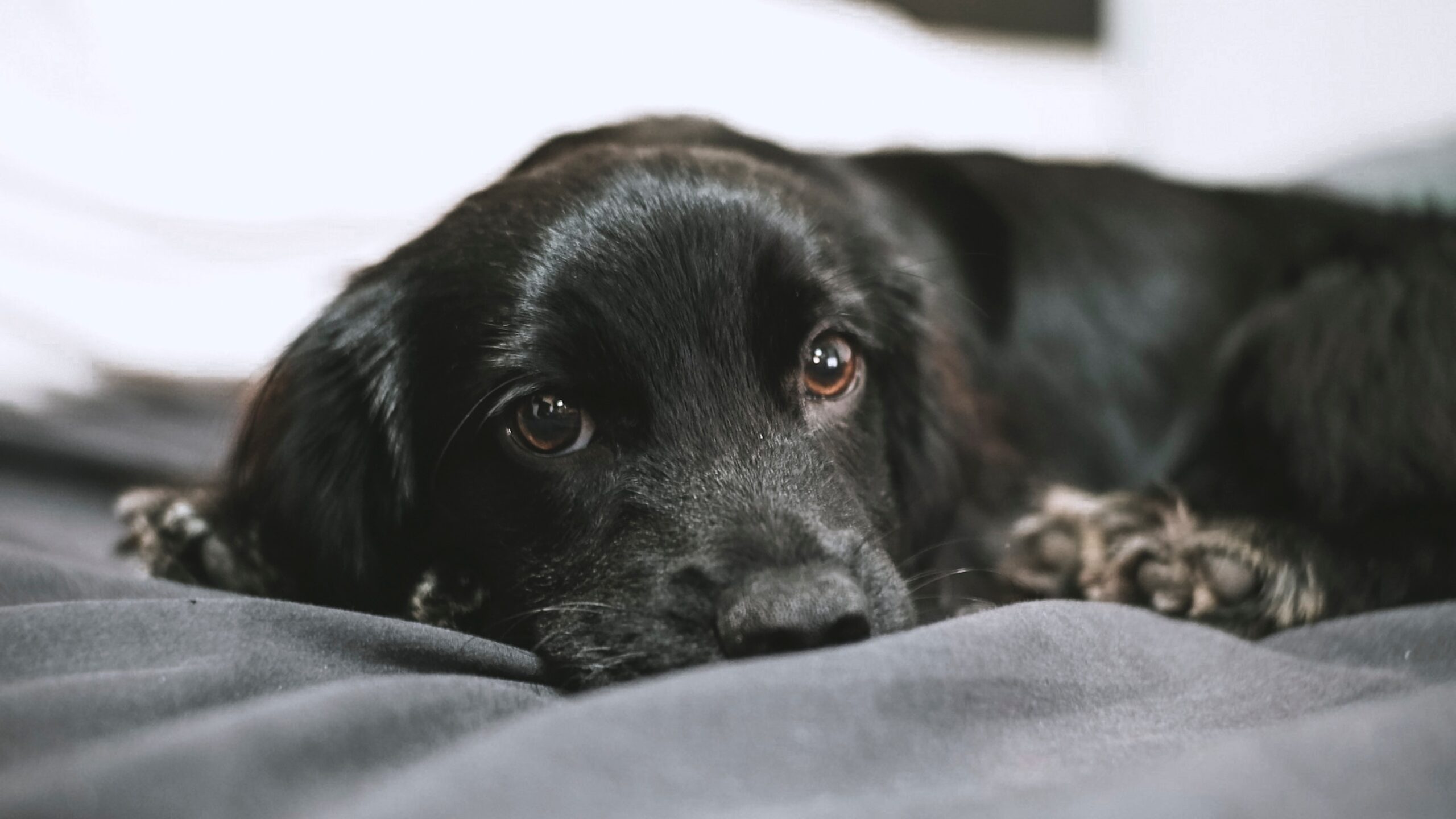 Improving Your English