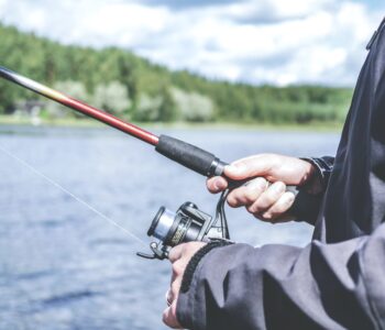 Fishing idioms: 23 of the best fish idioms explained, with examples