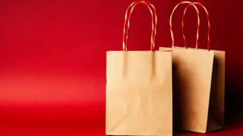 Bag idioms - two brown paper bags with a red back ground
