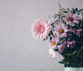 Flower idioms: Vibrant floral idioms to use everyday, with examples
