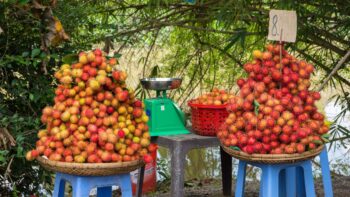 weighing up fewer vs less fruit