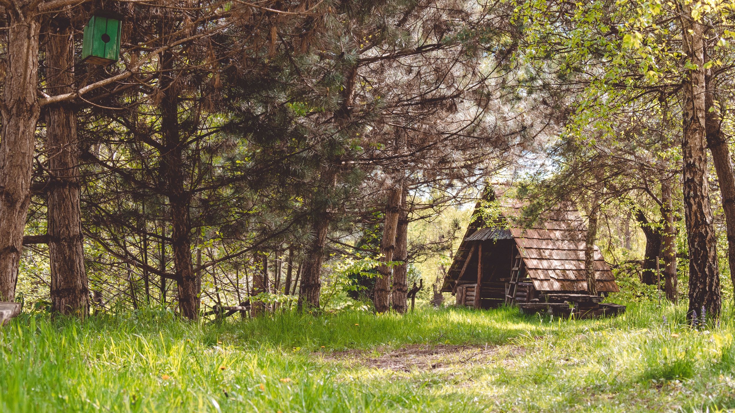 Improving Your English