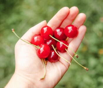 Few vs a few and little vs a little: What’s the difference between these confusing words?